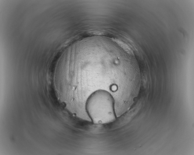 X0000114140374200910221530