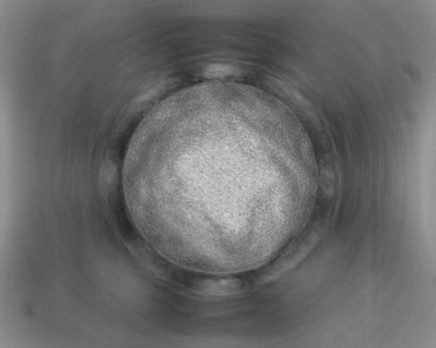 X0000114140375200910221530