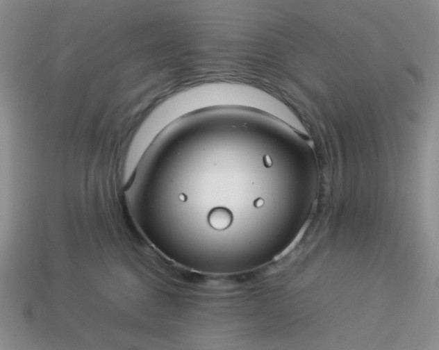 X0000114140376200910221530