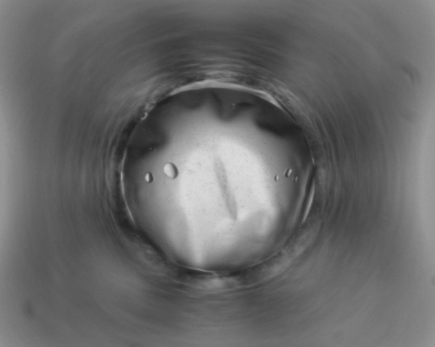 X0000114140379200910221530