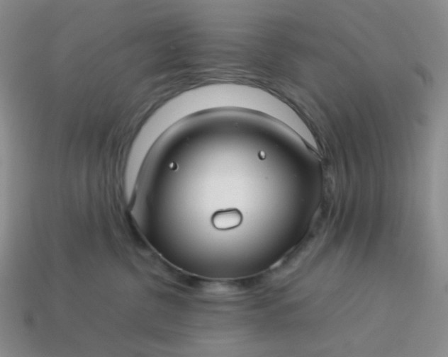 X0000114140380200910221530