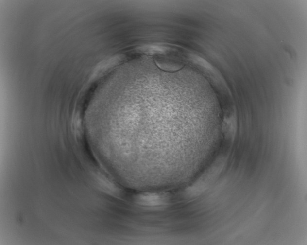 X0000114140381200910221530