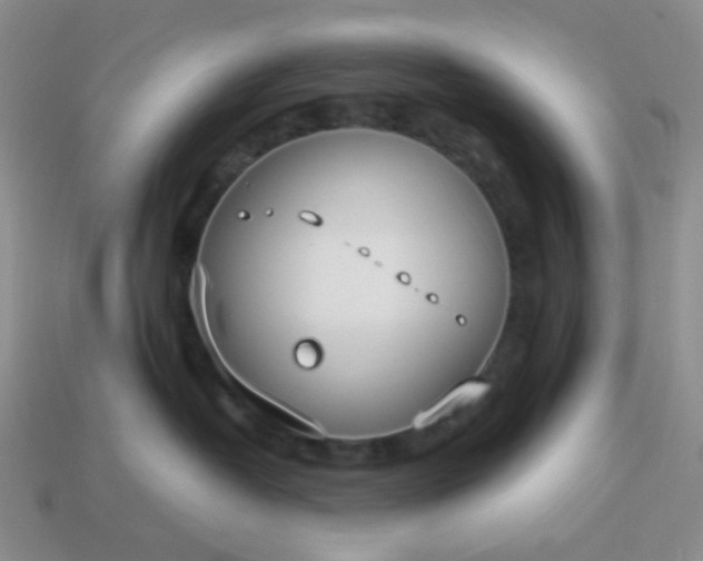 X0000114140382200910221530