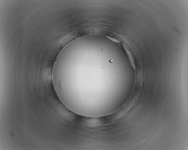 X0000114140383200910221530