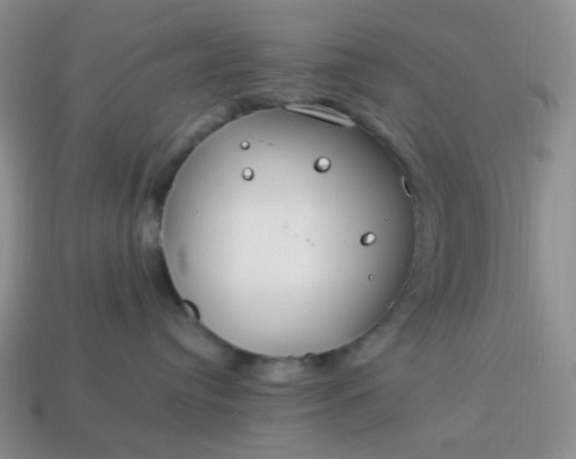 X0000114140384200910221530