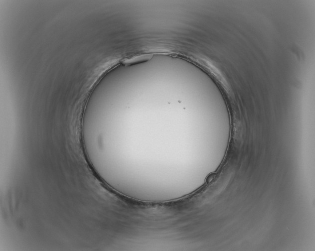 X0000114140385200910221529