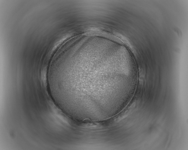 X0000114140386200910221529