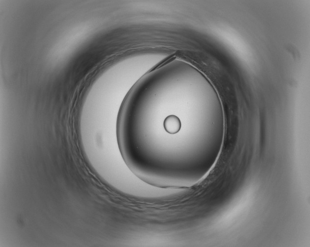 X0000114140387200910221529