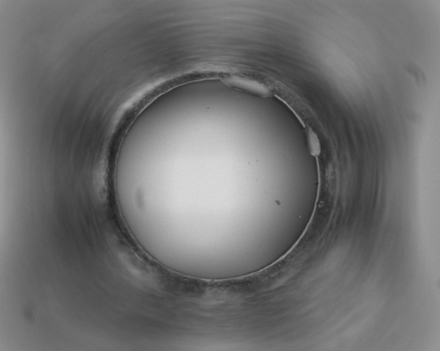 X0000114140388200910221529