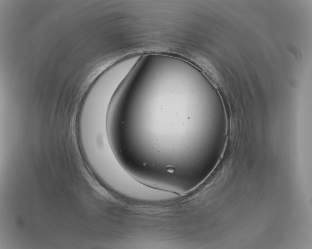 X0000114140389200910221529