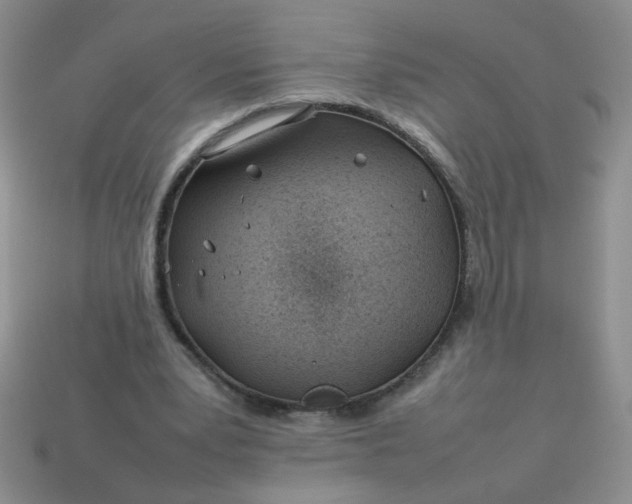 X0000114140391200910221529