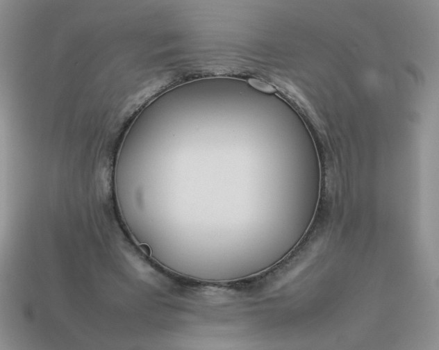 X0000114140393200910221529