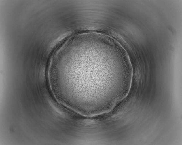 X0000114140394200910221529