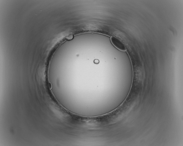 X0000114140395200910221529