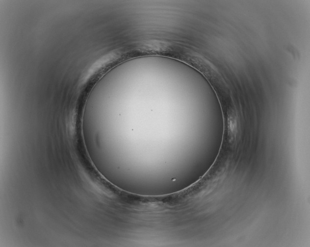 X0000114140396200910221529