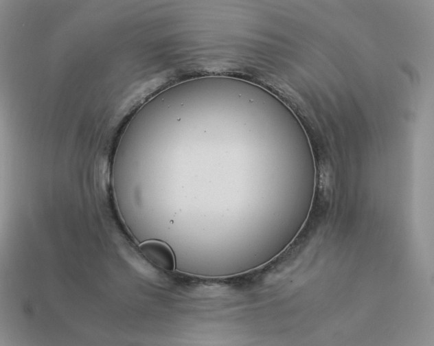 X0000114140397200910221529