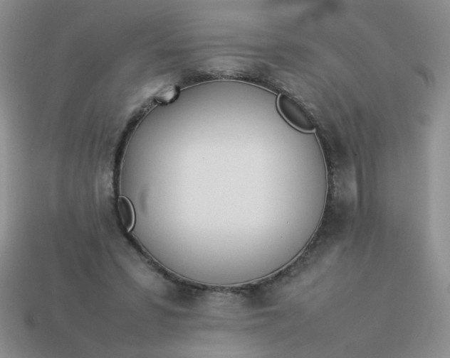 X0000114140399200910221529