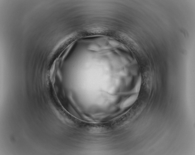 X0000114140400200910221529