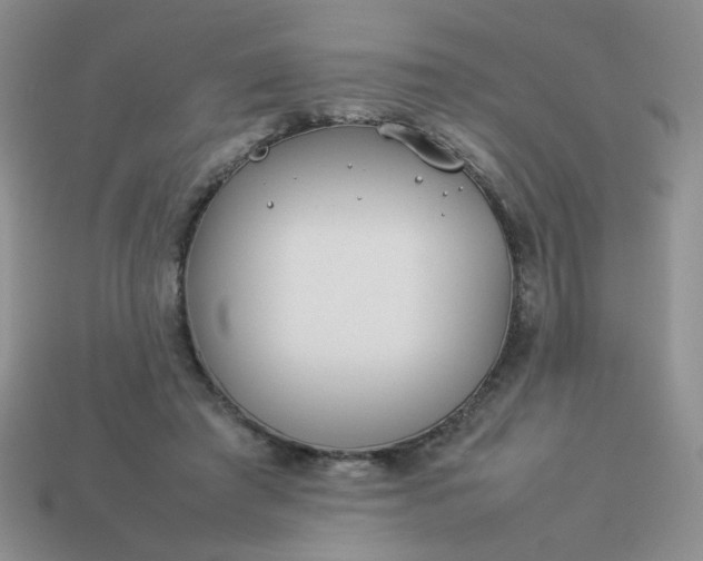 X0000114140401200910221529