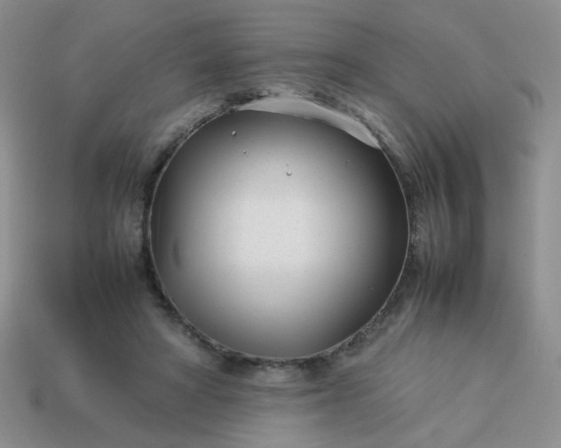 X0000114140402200910221529