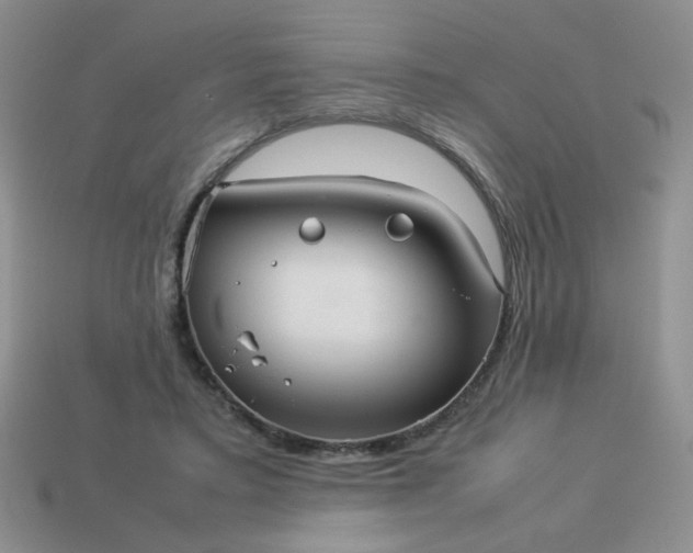 X0000114140403200910221529