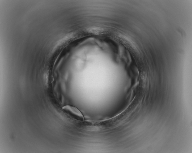 X0000114140404200910221529