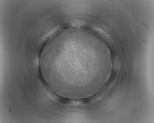 X0000114140405200910221529