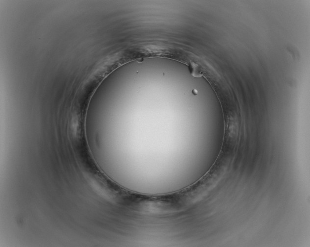 X0000114140408200910221529