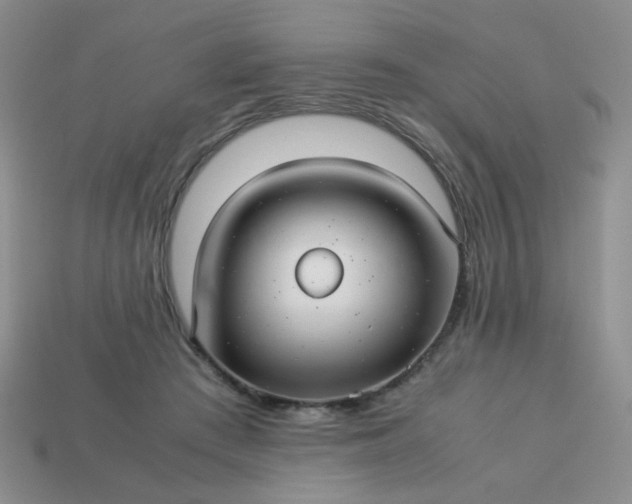 X0000114140409200910221529