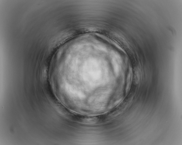 X0000114140410200910221529