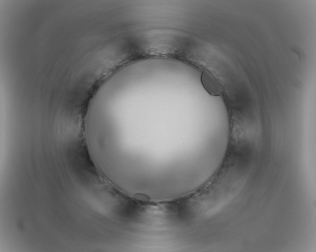 X0000114140411200910221529