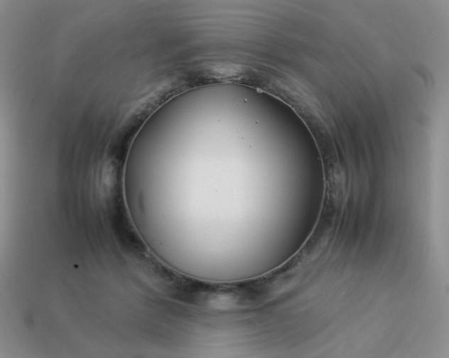 X0000114140412200910221529