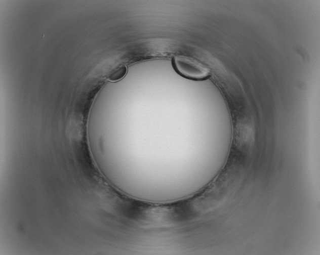 X0000114140413200910221529