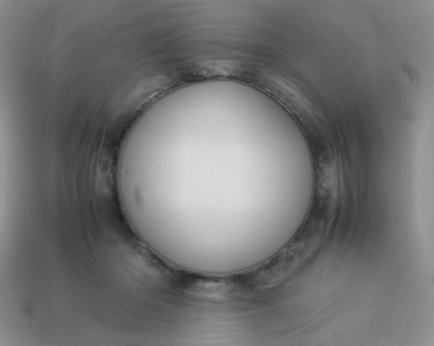 X0000114140414200910221529