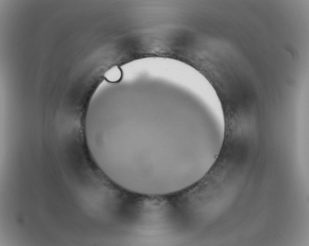 X0000114140415200910221529