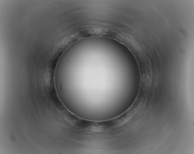 X0000114140416200910221529