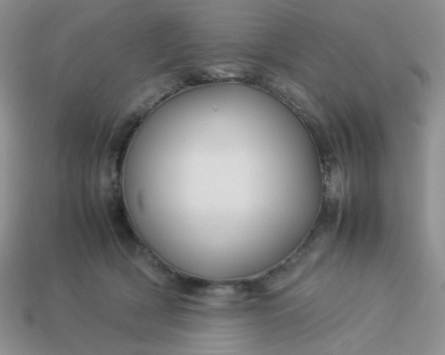 X0000114140418200910221529