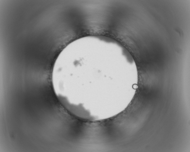 X0000114140419200910221529