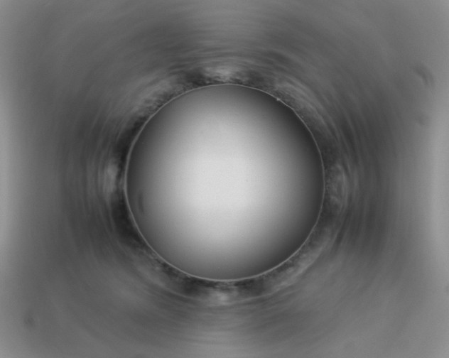 X0000114140420200910221529