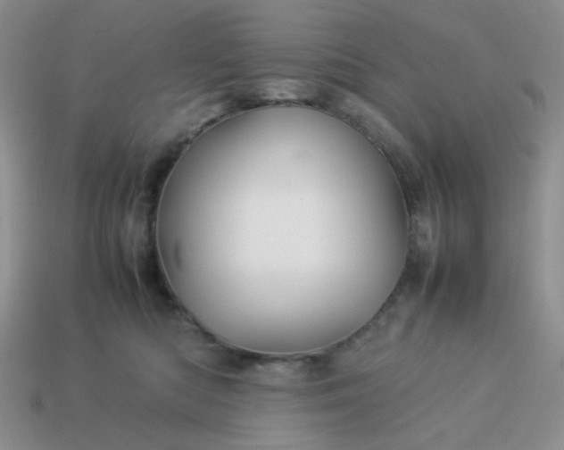 X0000114140422200910221529