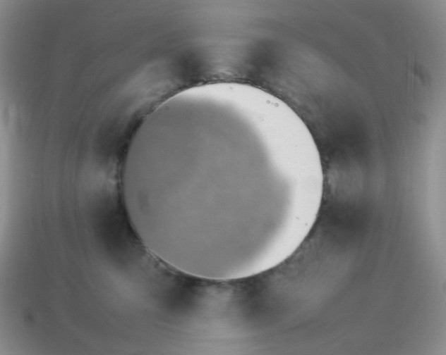 X0000114140423200910221529