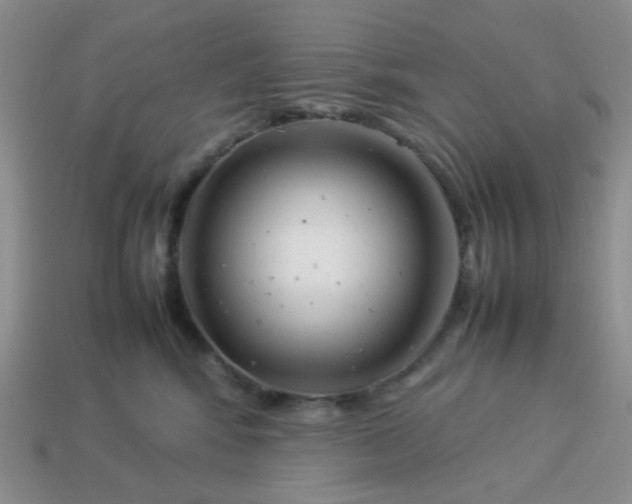 X0000114140424200910221529