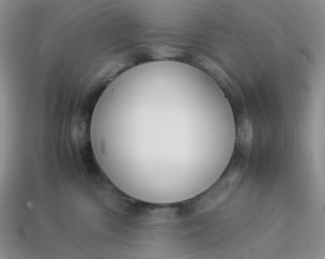 X0000114140426200910221529