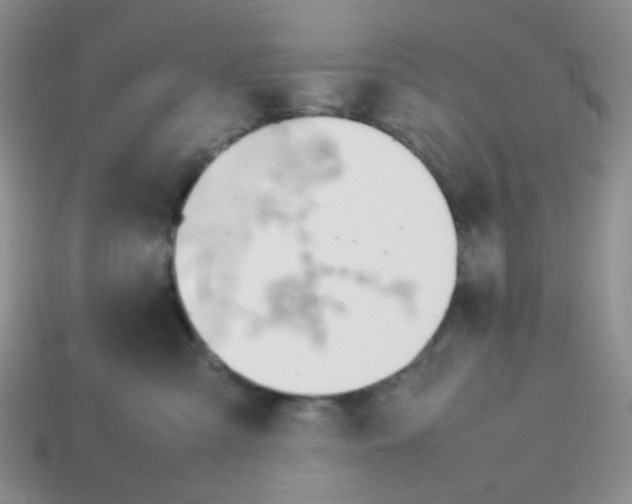 X0000114140427200910221529