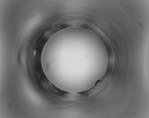 X0000114140429200910221529