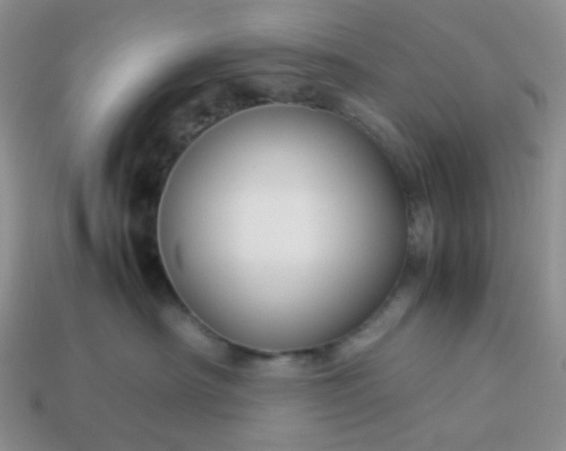 X0000114140430200910221529