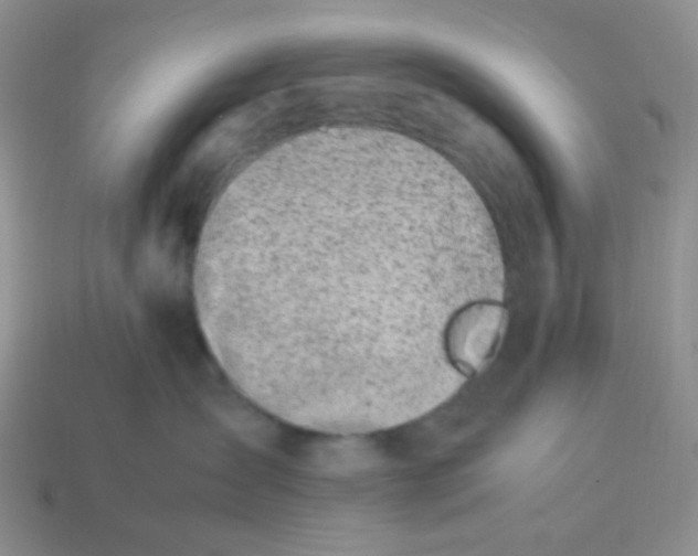 X0000114140431200910221529