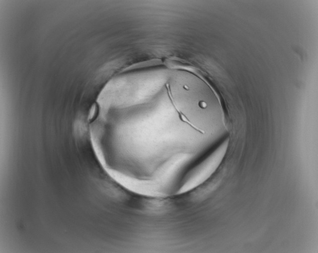 X0000114140432200910221529