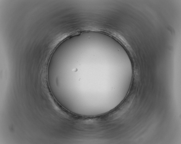 X0000114140433200910221528