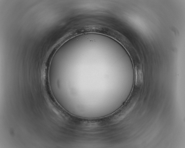 X0000114140435200910221528